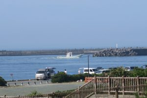 IMG_7531