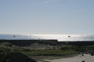 IMG_7802