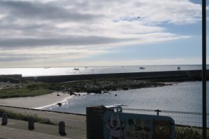 IMG_7849