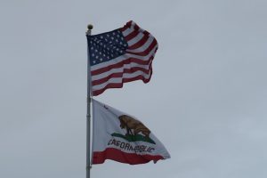 IMG_7891
