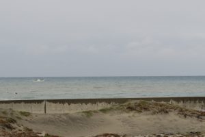 IMG_7906