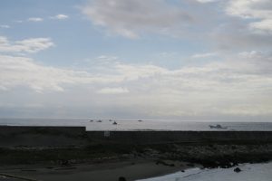 IMG_7907