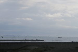 IMG_7908