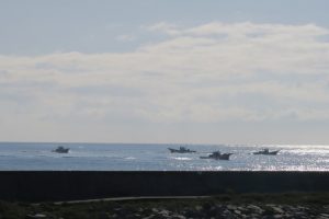 IMG_7910