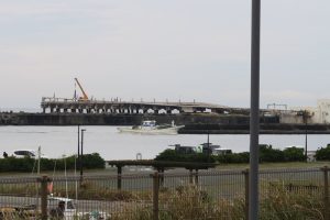 IMG_7937