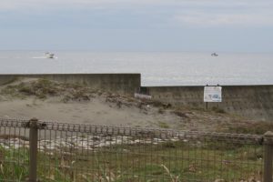 IMG_7939